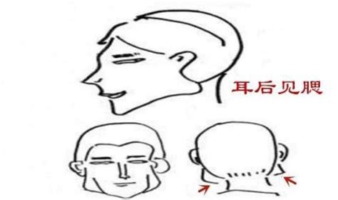 耳後見腮|「反骨」的準確位置在哪裡？面相「三大反骨」你了解多少？